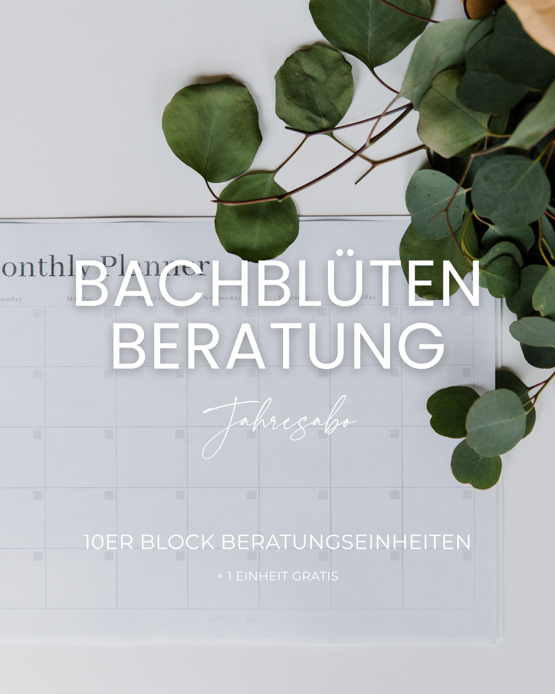 Bachblütenberatung Jahresabo