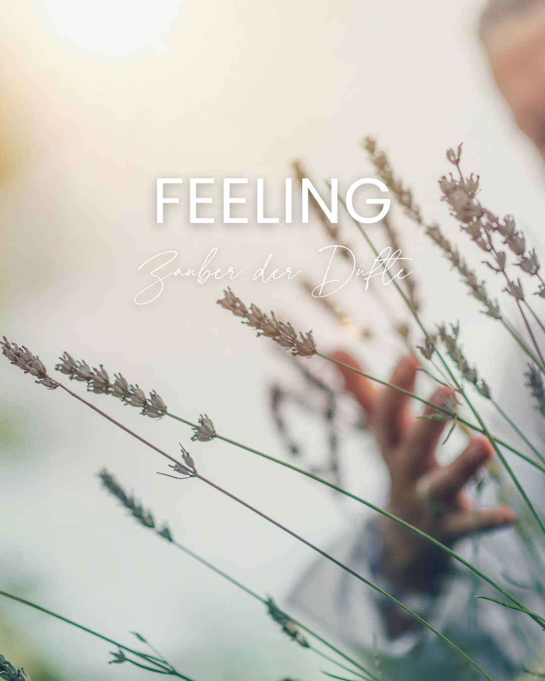 Feeling - Zauber der Düfte