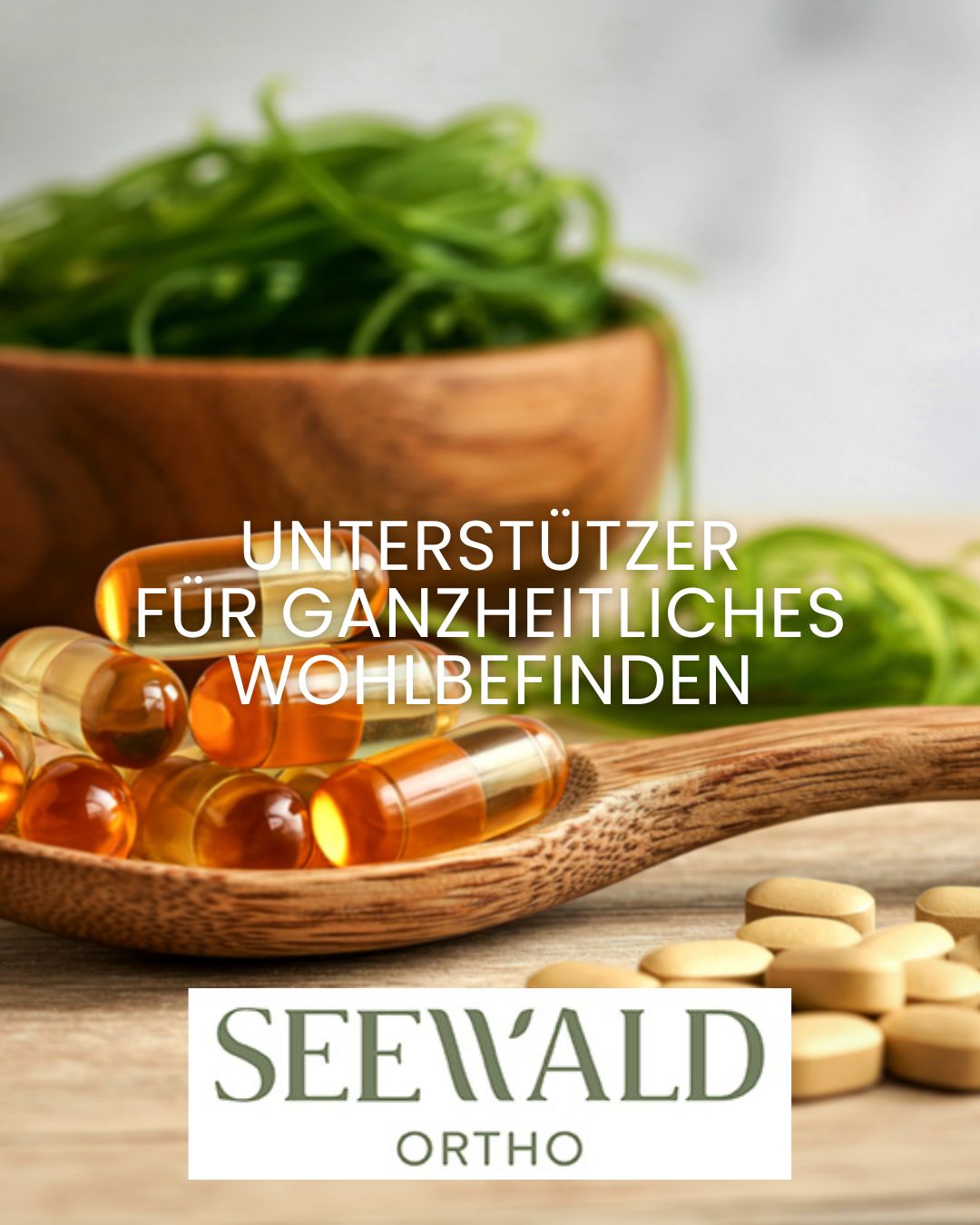 Seewald Ortho
